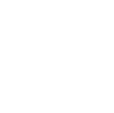 btn icon
